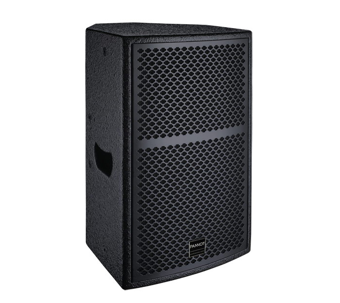 PC10 10 inch Two Way Full Range Loudspeaker